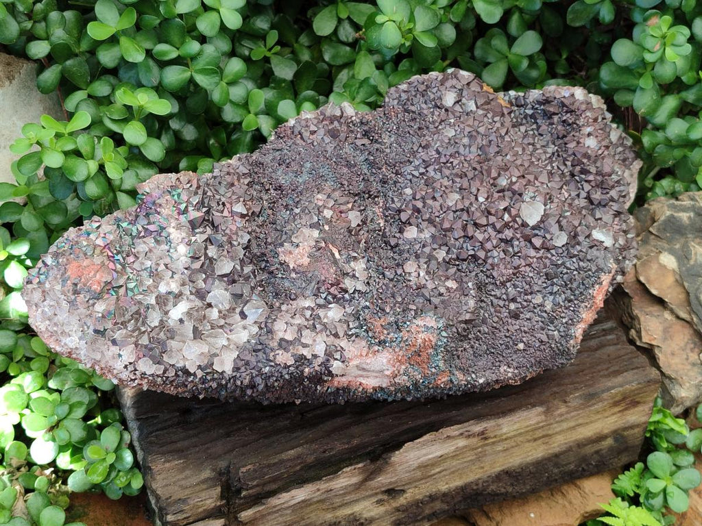 Natural XL Blacknite with Smokey Quartz Cluster x 1 From Madagascar