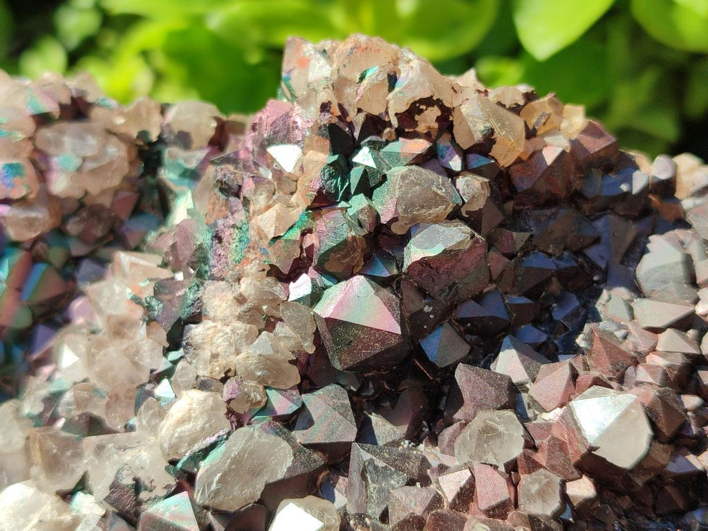 Natural XL Blacknite with Smokey Quartz Cluster x 1 From Madagascar