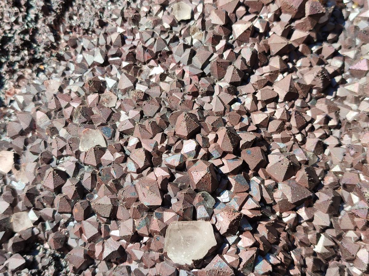 Natural XL Blacknite with Smokey Quartz Cluster x 1 From Madagascar