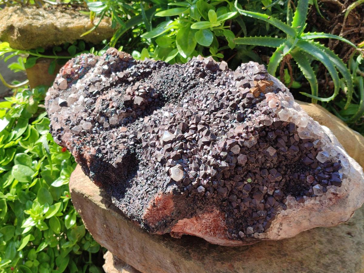 Natural XL Blacknite with Smokey Quartz Cluster x 1 From Madagascar