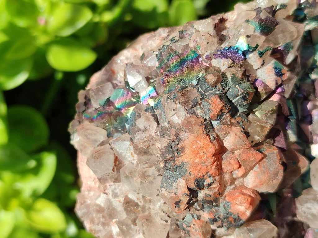 Natural XL Blacknite with Smokey Quartz Cluster x 1 From Madagascar