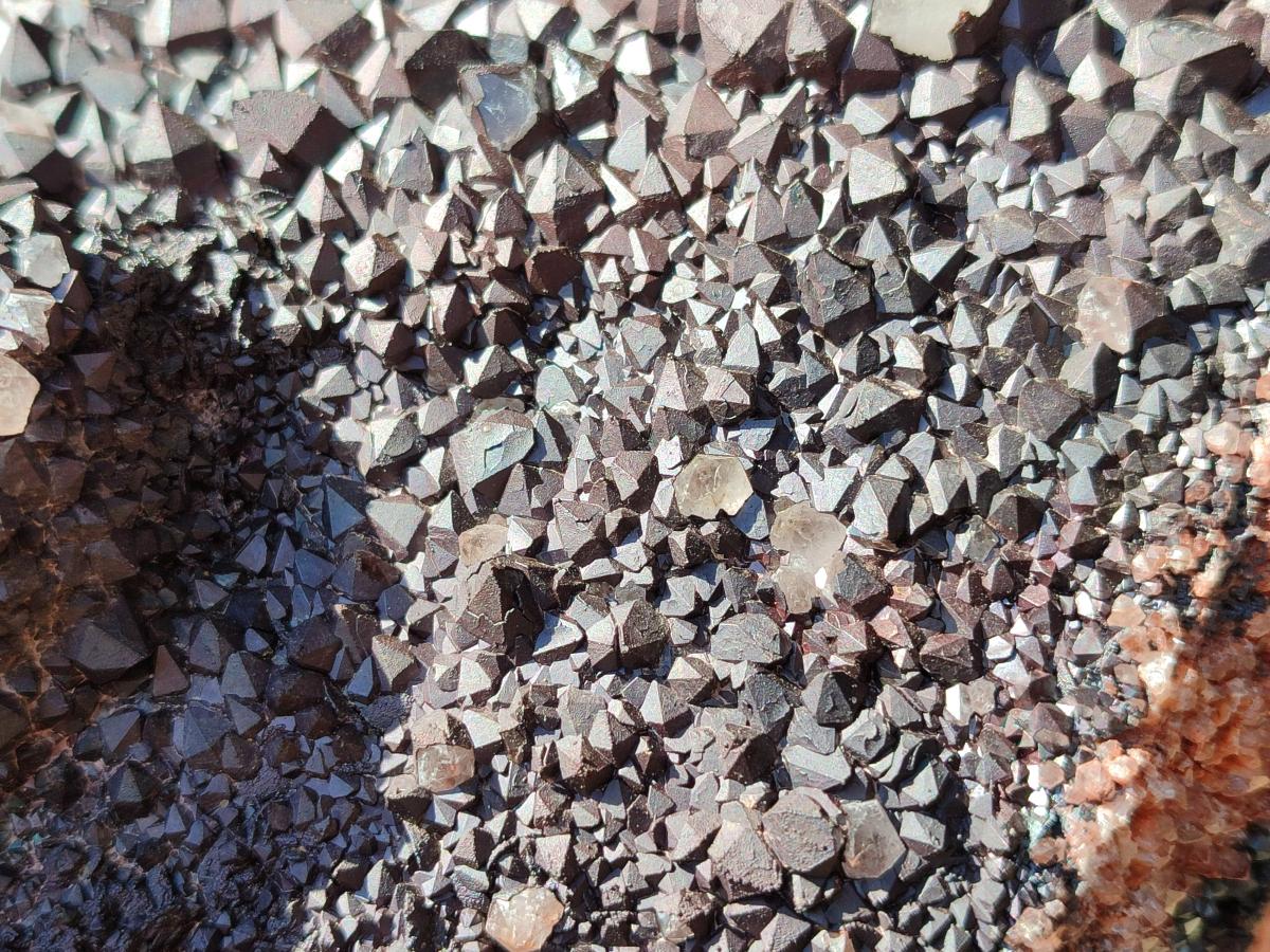 Natural XL Blacknite with Smokey Quartz Cluster x 1 From Madagascar