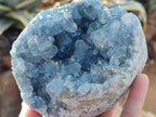 Natural Blue Celestite Specimens x 2 From Sakoany, Madagascar
