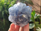 Natural Blue Celestite Specimens x 2 From Sakoany, Madagascar