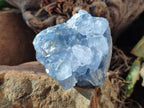 Natural Blue Celestite Specimens x 2 From Sakoany, Madagascar