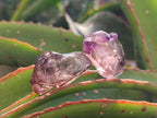 Natural Window Amethyst Crystals x 35 From Chiredzi, Zimbabwe