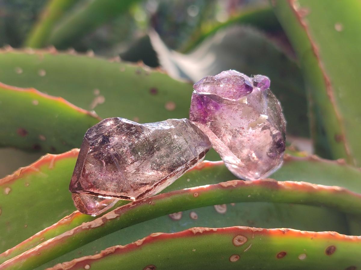 Natural Window Amethyst Crystals x 35 From Chiredzi, Zimbabwe