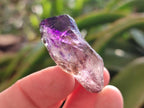 Natural Window Amethyst Crystals x 35 From Chiredzi, Zimbabwe