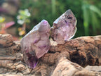 Natural Window Amethyst Crystals x 35 From Chiredzi, Zimbabwe