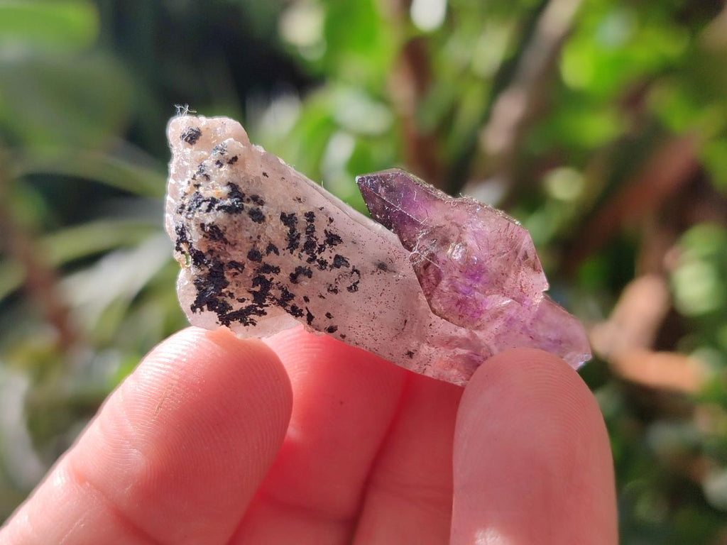 Natural Window Amethyst Crystals x 35 From Chiredzi, Zimbabwe