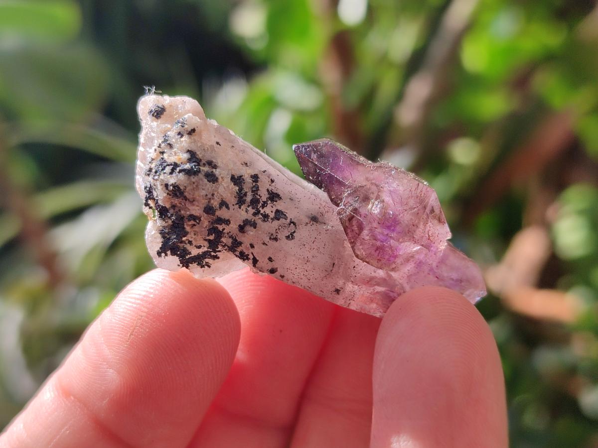 Natural Window Amethyst Crystals x 35 From Chiredzi, Zimbabwe