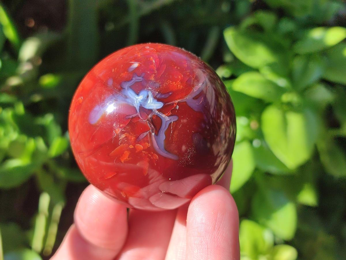 Polished Carnelian Agate Gemstone Spheres x 6 From Madagascar