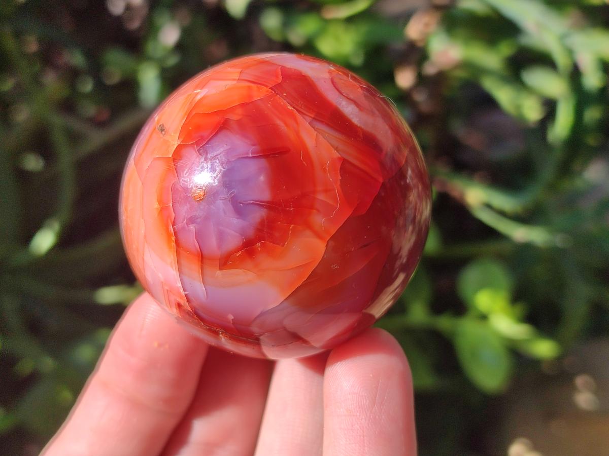 Polished Carnelian Agate Gemstone Spheres x 6 From Madagascar