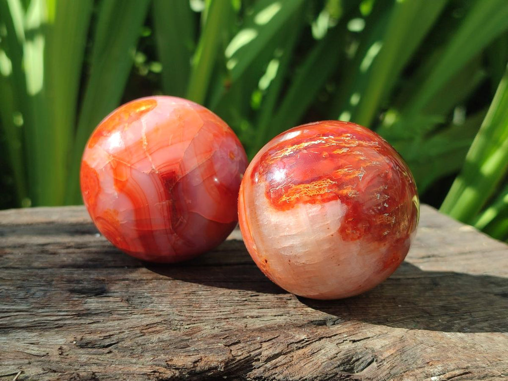 Polished Carnelian Agate Gemstone Spheres x 6 From Madagascar