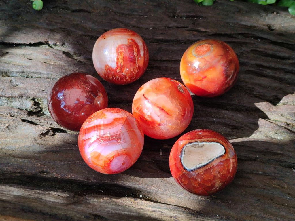 Polished Carnelian Agate Gemstone Spheres x 6 From Madagascar