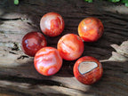 Polished Carnelian Agate Gemstone Spheres x 6 From Madagascar