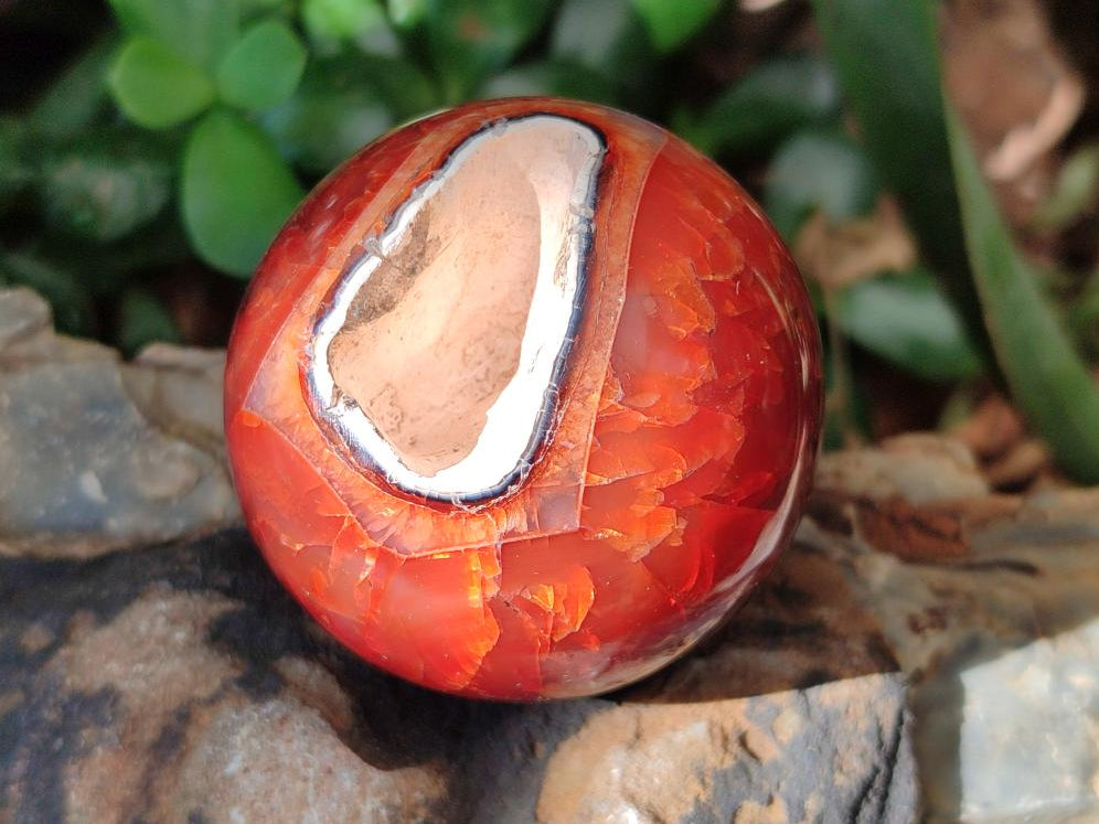 Polished Carnelian Agate Gemstone Spheres x 6 From Madagascar