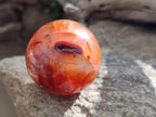 Polished Carnelian Agate Gemstone Spheres x 6 From Madagascar