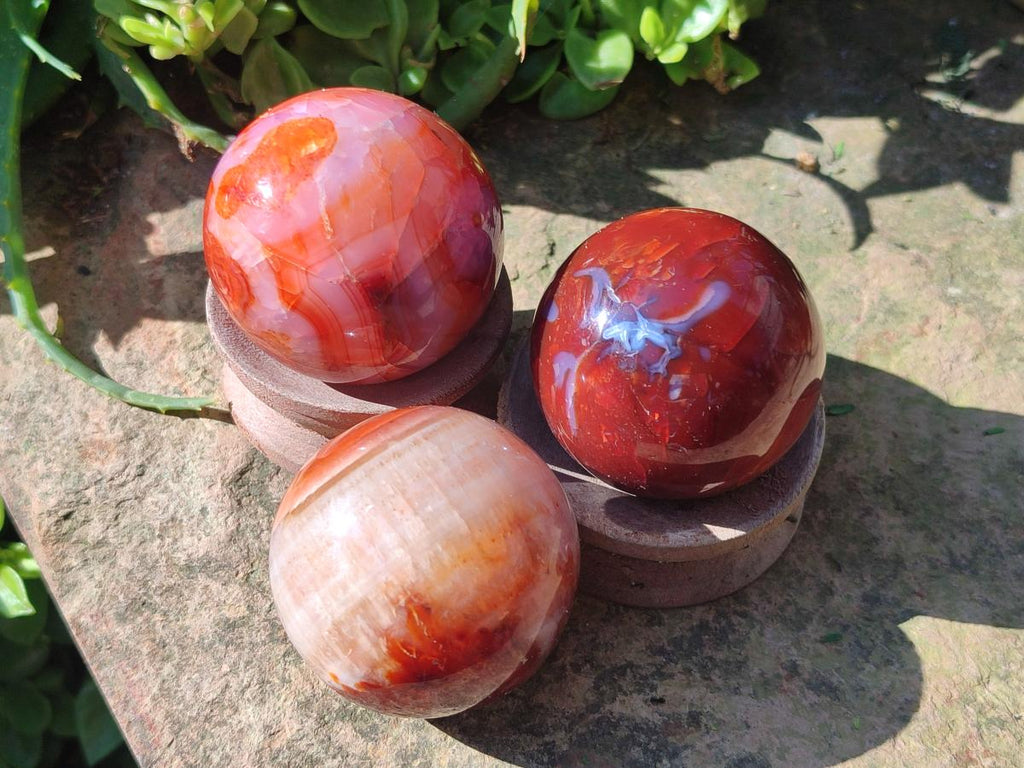 Polished Carnelian Agate Gemstone Spheres x 6 From Madagascar