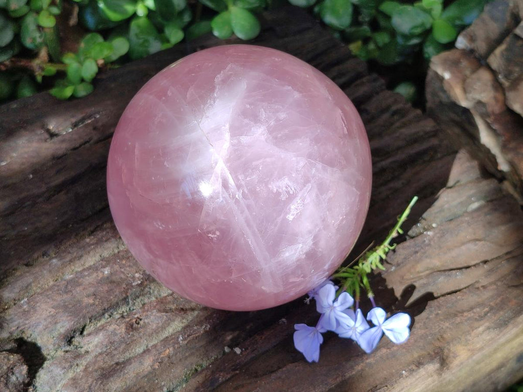 Polished Large Gemmy Star Rose Quartz Sphere x 1 From Madagascar
