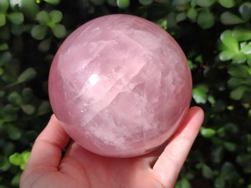 Polished Large Gemmy Star Rose Quartz Sphere x 1 From Madagascar