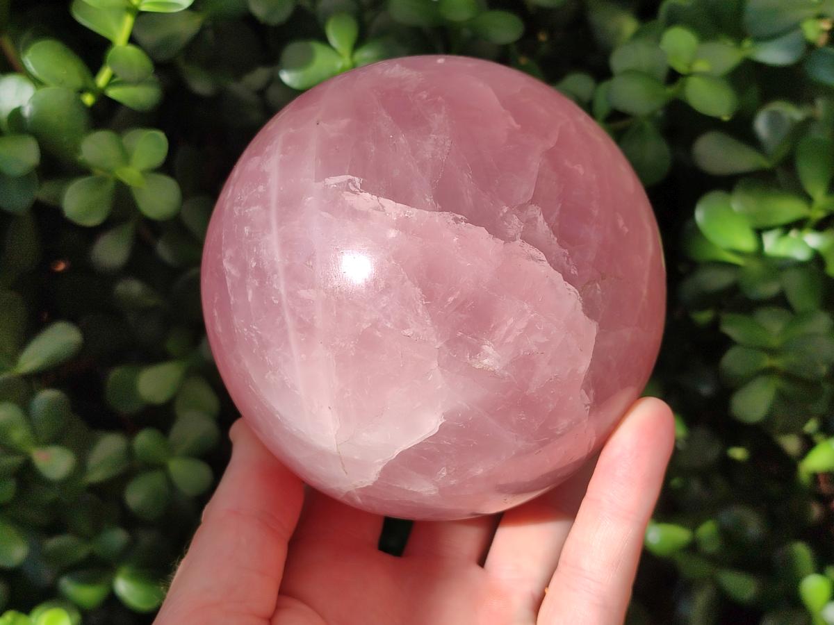 Polished Large Gemmy Star Rose Quartz Sphere x 1 From Madagascar