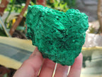 Natural Silky Malachite Specimens x 4 From Kasompe, Congo