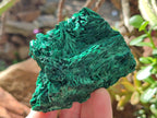 Natural Silky Malachite Specimens x 4 From Kasompe, Congo