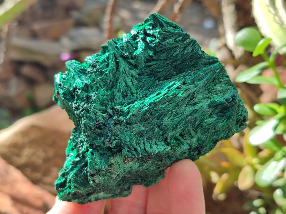 Natural Silky Malachite Specimens x 4 From Kasompe, Congo