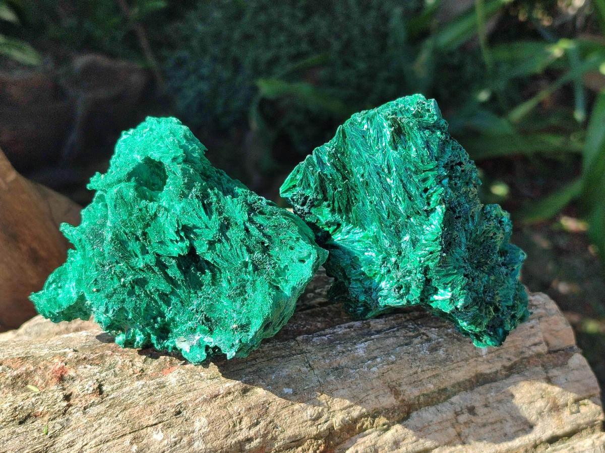 Natural Silky Malachite Specimens x 4 From Kasompe, Congo
