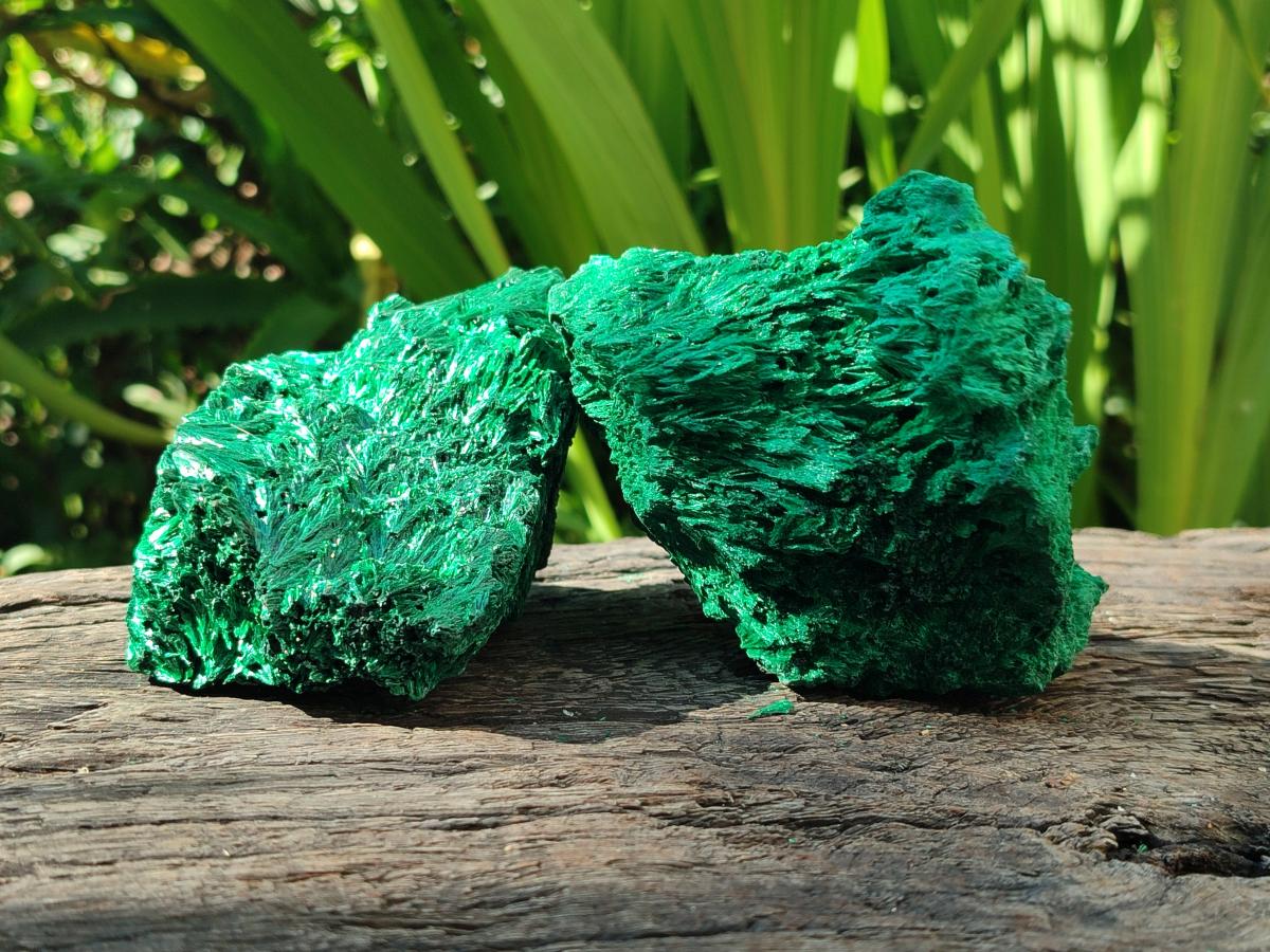 Natural Silky Malachite Specimens x 4 From Kasompe, Congo
