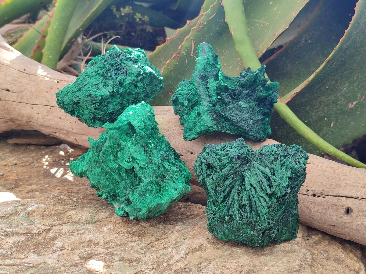 Natural Silky Malachite Specimens x 4 From Kasompe, Congo