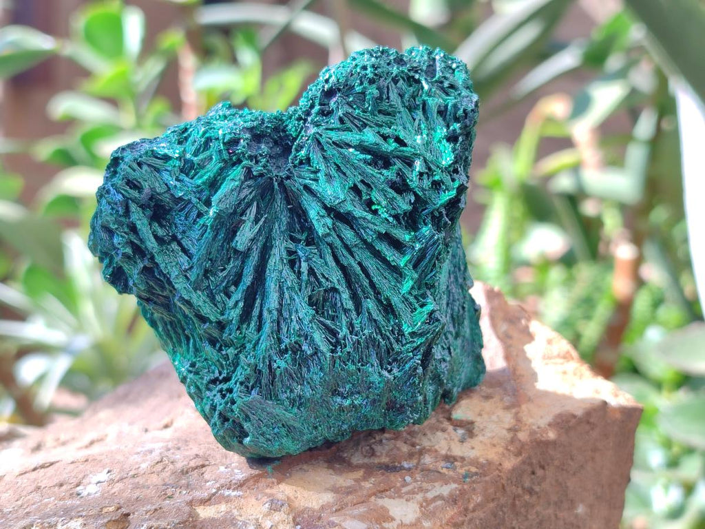 Natural Silky Malachite Specimens x 4 From Kasompe, Congo