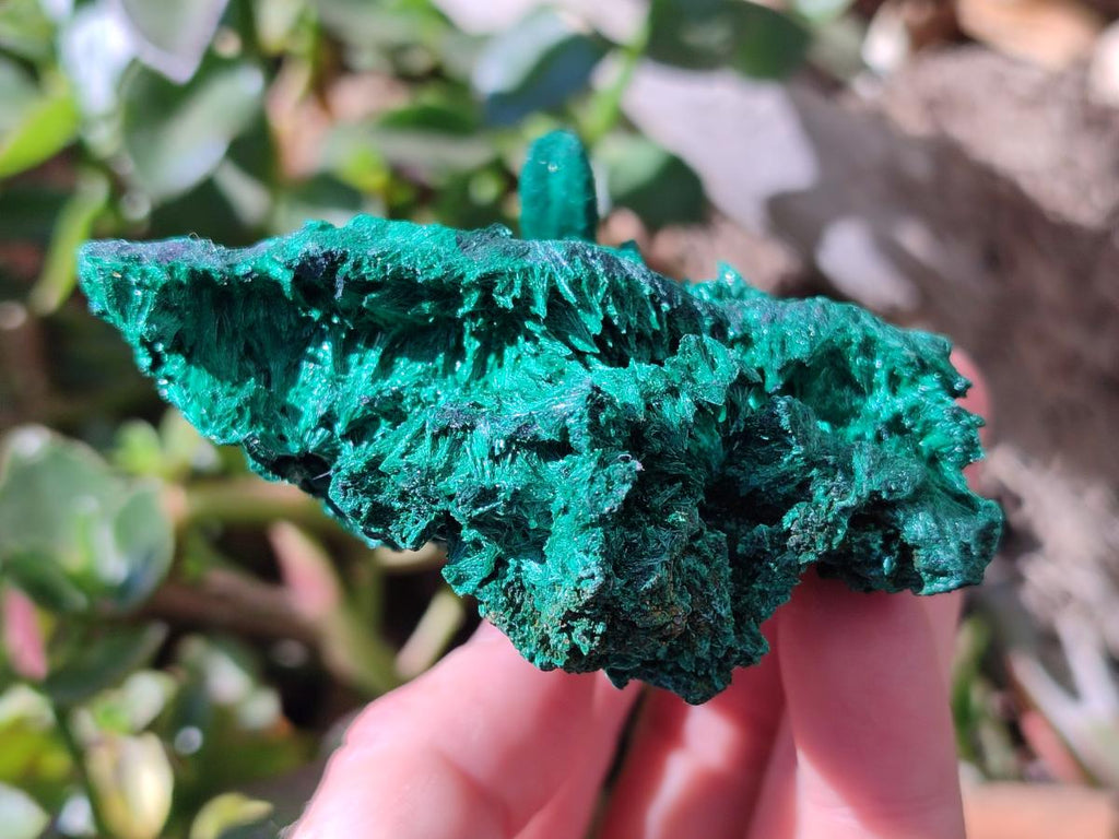 Natural Silky Malachite Specimens x 4 From Kasompe, Congo