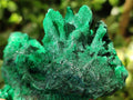 Natural Silky Malachite Specimens x 4 From Kasompe, Congo