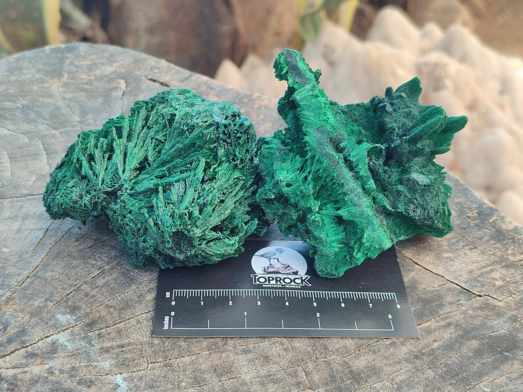 Natural Silky Malachite Specimens x 4 From Kasompe, Congo