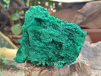 Natural Silky Malachite Specimens x 4 From Kasompe, Congo