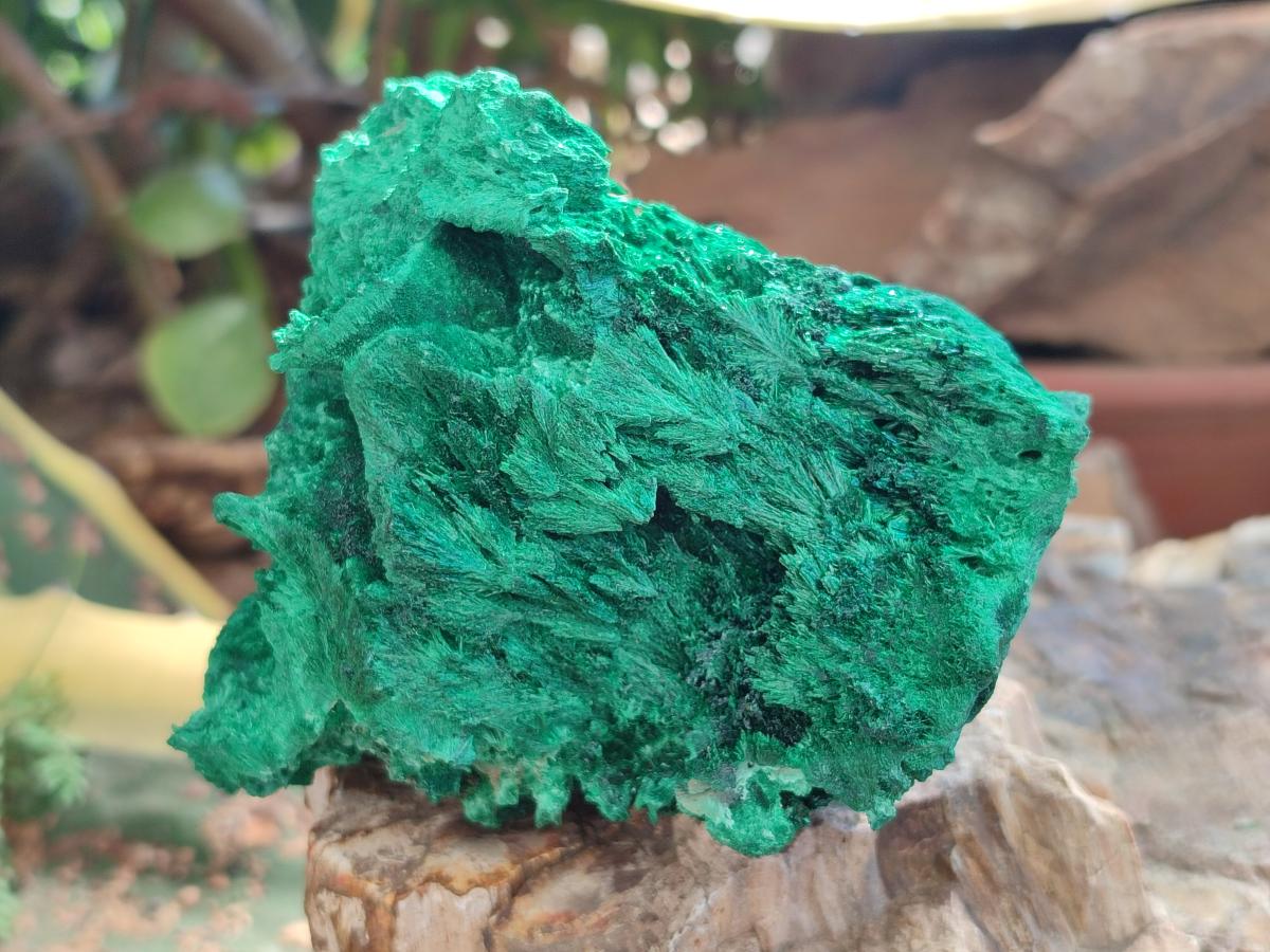 Natural Silky Malachite Specimens x 4 From Kasompe, Congo