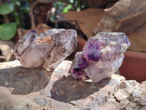 Natural Window Amethyst Crystals x 12 From Chiredzi, Zimbabwe