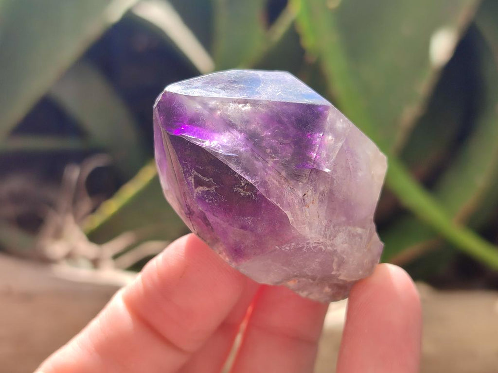 Natural Window Amethyst Crystals x 12 From Chiredzi, Zimbabwe