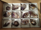 Natural Window Amethyst Crystals x 12 From Chiredzi, Zimbabwe