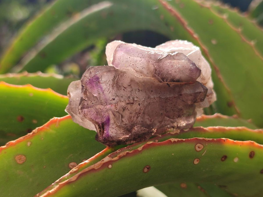 Natural Window Amethyst Crystals x 12 From Chiredzi, Zimbabwe