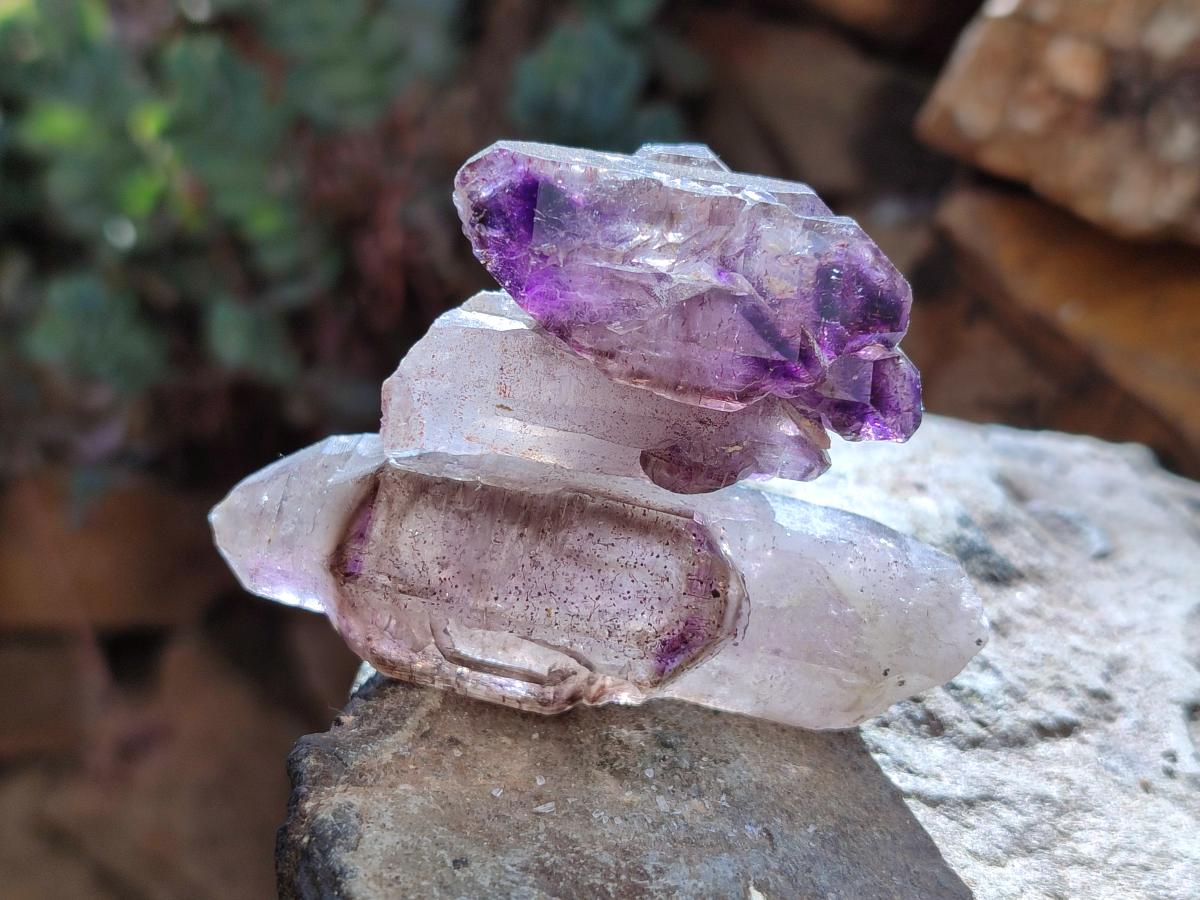 Natural Window Amethyst Crystals x 12 From Chiredzi, Zimbabwe