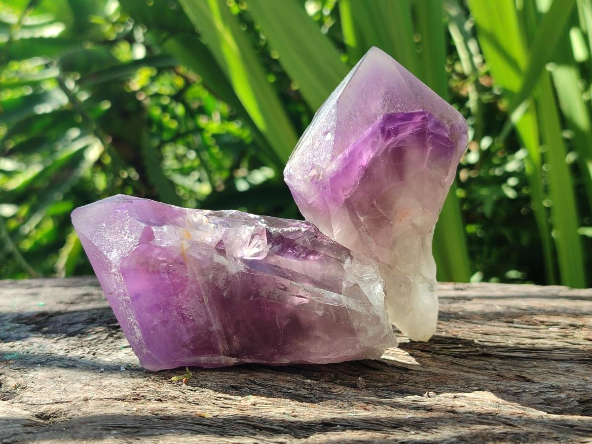 Natural Jacaranda Amethyst Single Crystals x 12 From Mumbwa, Zambia