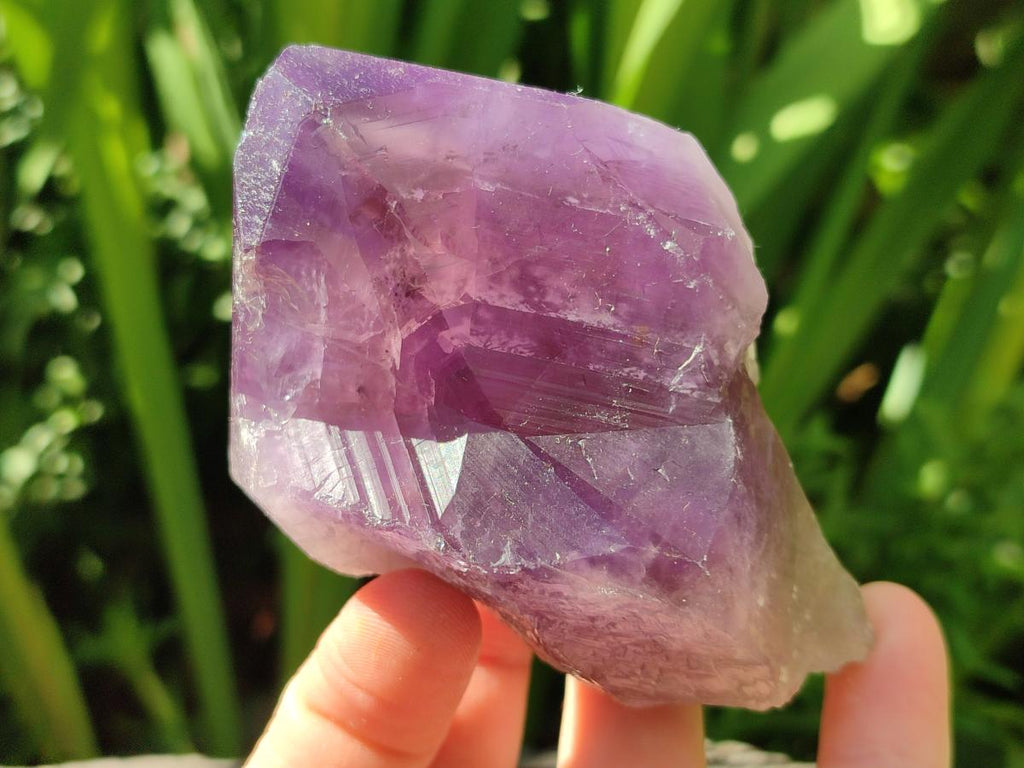 Natural Jacaranda Amethyst Single Crystals x 12 From Mumbwa, Zambia