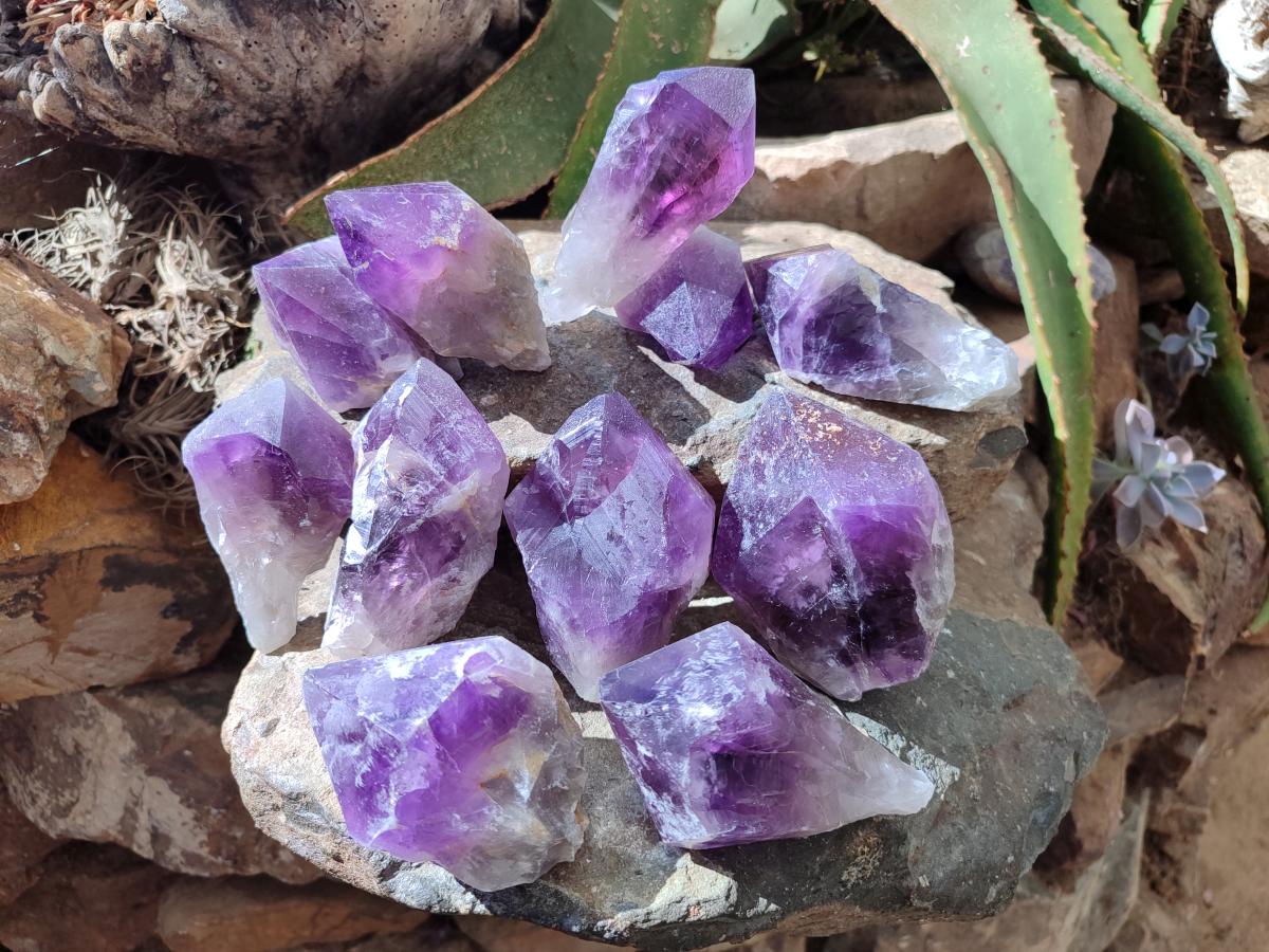 Natural Jacaranda Amethyst Single Crystals x 12 From Mumbwa, Zambia