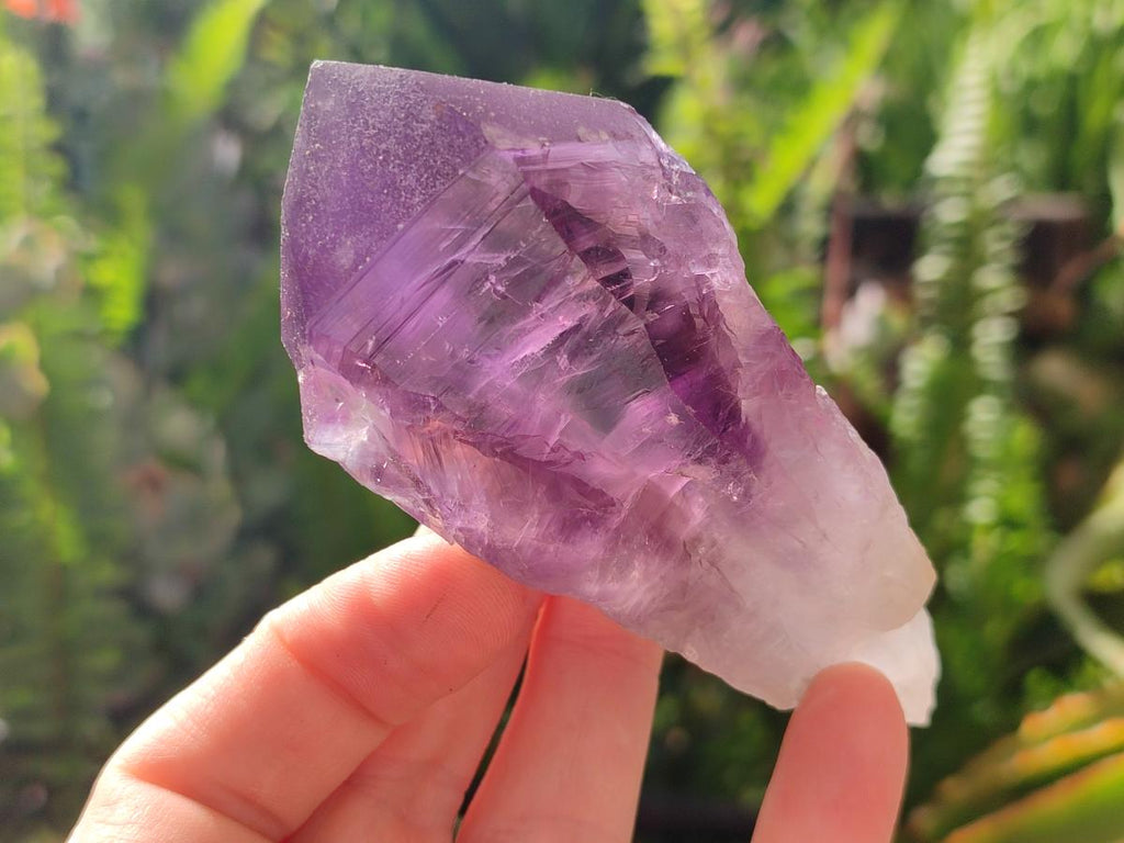 Natural Jacaranda Amethyst Single Crystals x 12 From Mumbwa, Zambia
