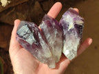 Natural Jacaranda Amethyst Single Crystals x 12 From Mumbwa, Zambia