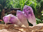 Natural Jacaranda Amethyst Single Crystals x 12 From Mumbwa, Zambia