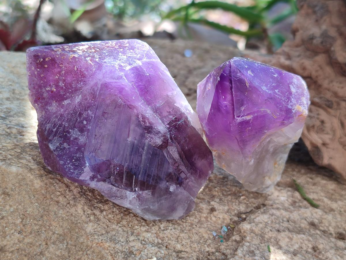 Natural Jacaranda Amethyst Single Crystals x 12 From Mumbwa, Zambia